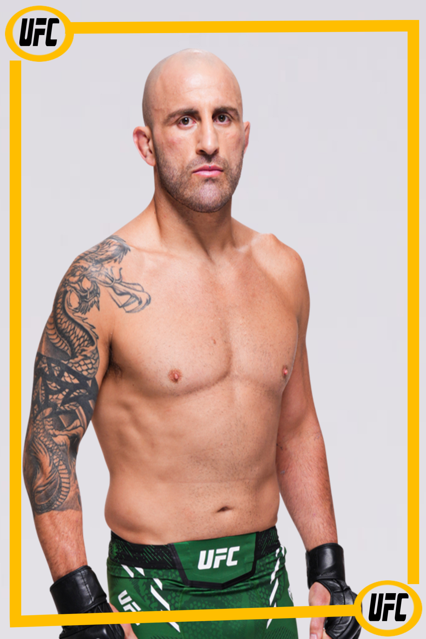 ألكسندر فولكانوفسكي